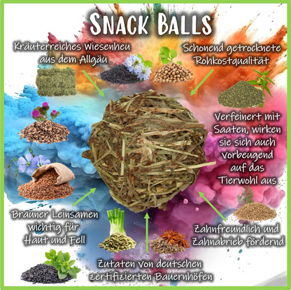 Snack Balls - Seeds Flower