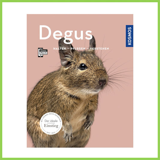 Degus - Nagerfarm