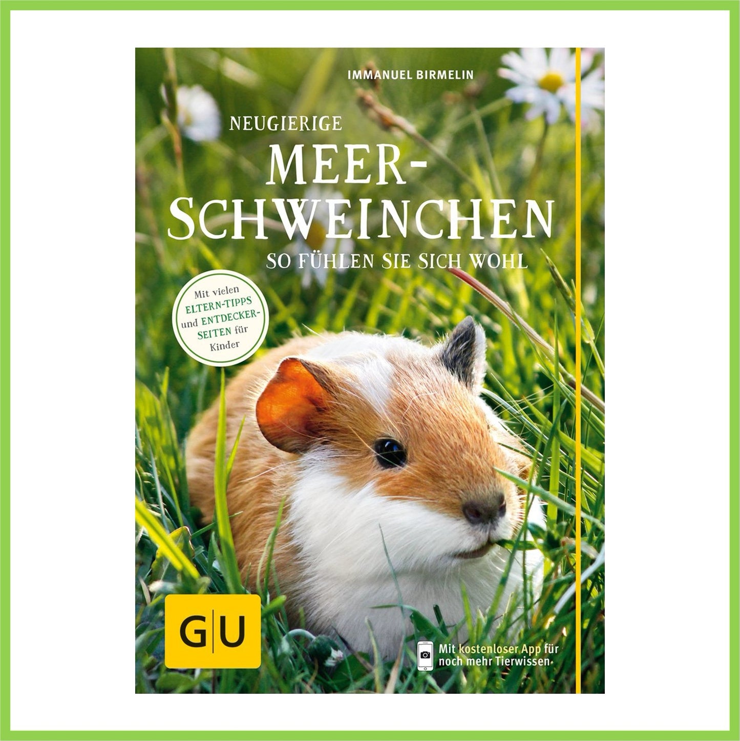 Neugierige Meerschweinchen: So fühlen sie sich wohl