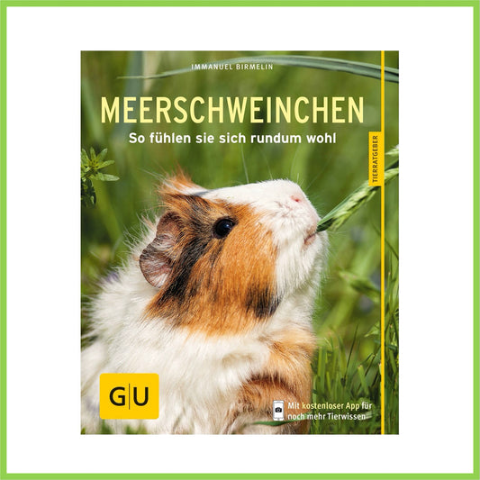 Meerschweinchen: So fühlen sie sich rundum wohl - Nagerfarm