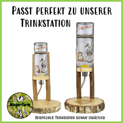 Trinkflasche Honey & Hopper